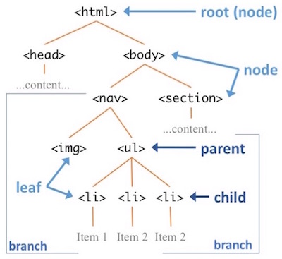 Domt tree